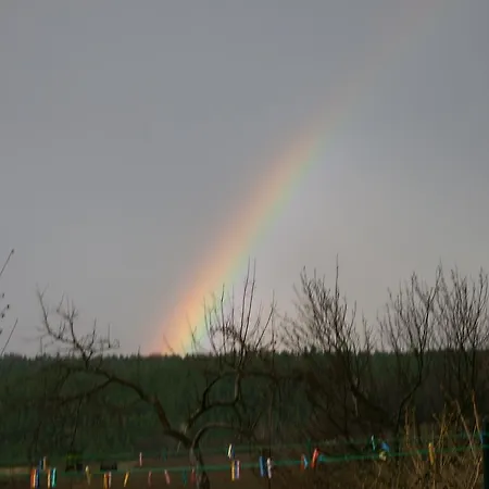 公寓 No.5 - Schkade Kleingiesshubel