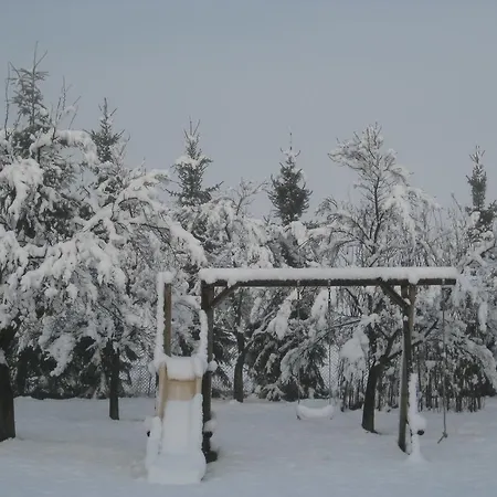 公寓 No.5 - Schkade