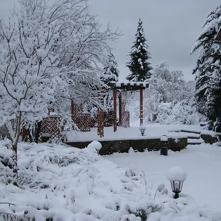 公寓 No.5 - Schkade