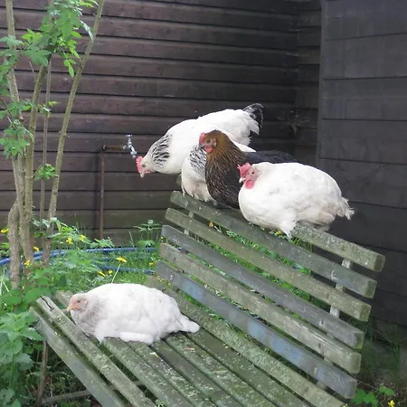 Apartamento No.5 - Schkade *